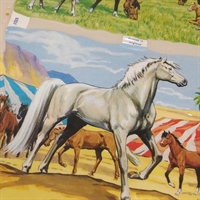 Hvid hest i forgrunden, brune og sort hest i baggrunden, gammelt stort glansbillede.